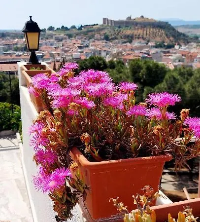 Ephesus Hillside Pansiyon *